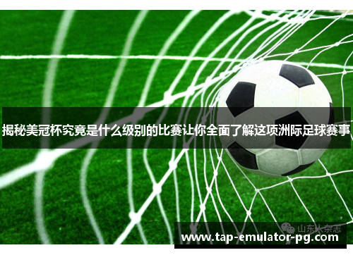 揭秘美冠杯究竟是什么级别的比赛让你全面了解这项洲际足球赛事