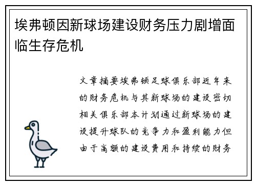 埃弗顿因新球场建设财务压力剧增面临生存危机
