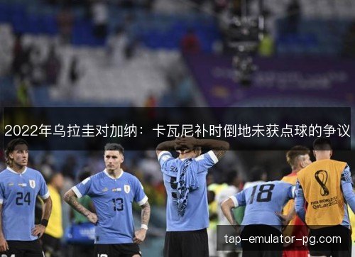 2022年乌拉圭对加纳：卡瓦尼补时倒地未获点球的争议